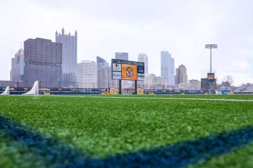Highmark Stadium turf
