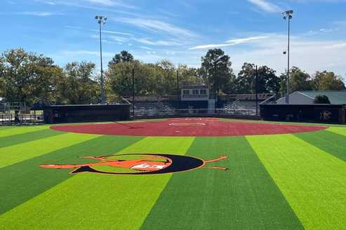 Campbell University Softball